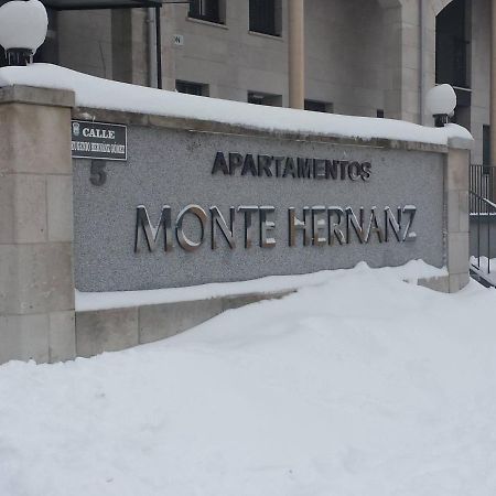 Apartamentos Monte Hernanz Riaza Dış mekan fotoğraf