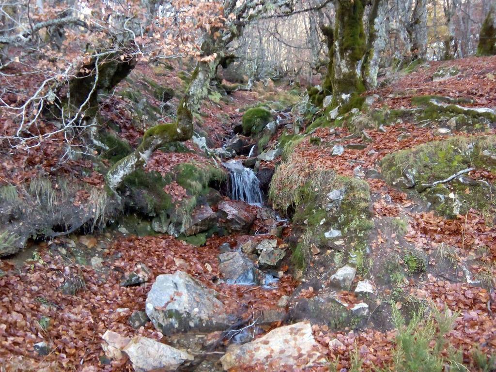 Apartamentos Monte Hernanz Riaza Dış mekan fotoğraf